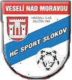 Hzen Vesel nad Moravou